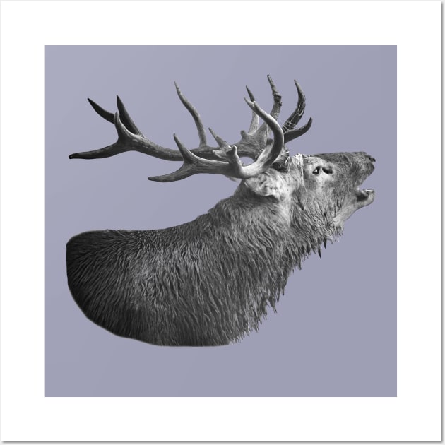 Bellowing Red Stag Wall Art by dalyndigaital2@gmail.com